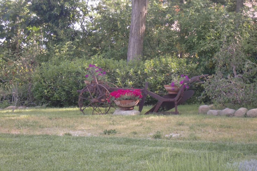 I Quattro Passeri Country House Santa Paola Rom bilde